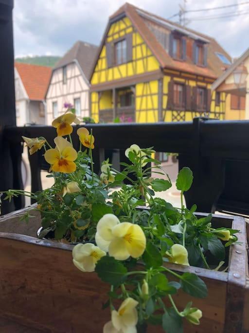 Gite „La Maison Des Epices“ Kintzheim Buitenkant foto